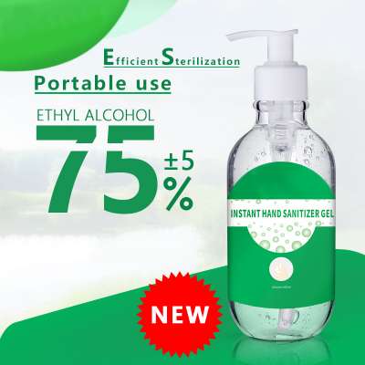 Wholesale CE Certificate Antibacterial Hand Wash Instant Antibacterial 75% Alcohol Antiseptic Hand Sanitizer